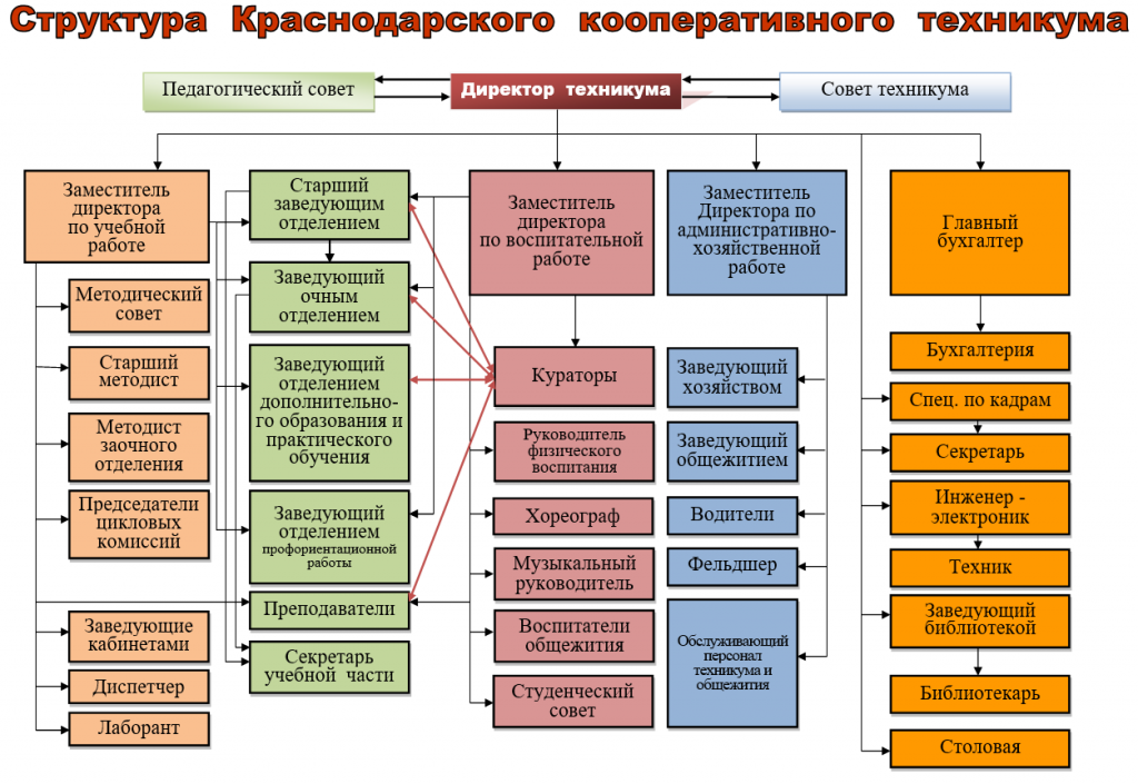 Директор образовательной организации